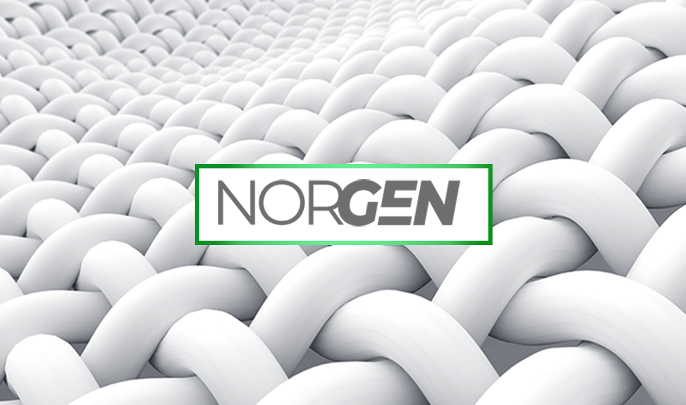 NORGEN-weave-image-logo.png